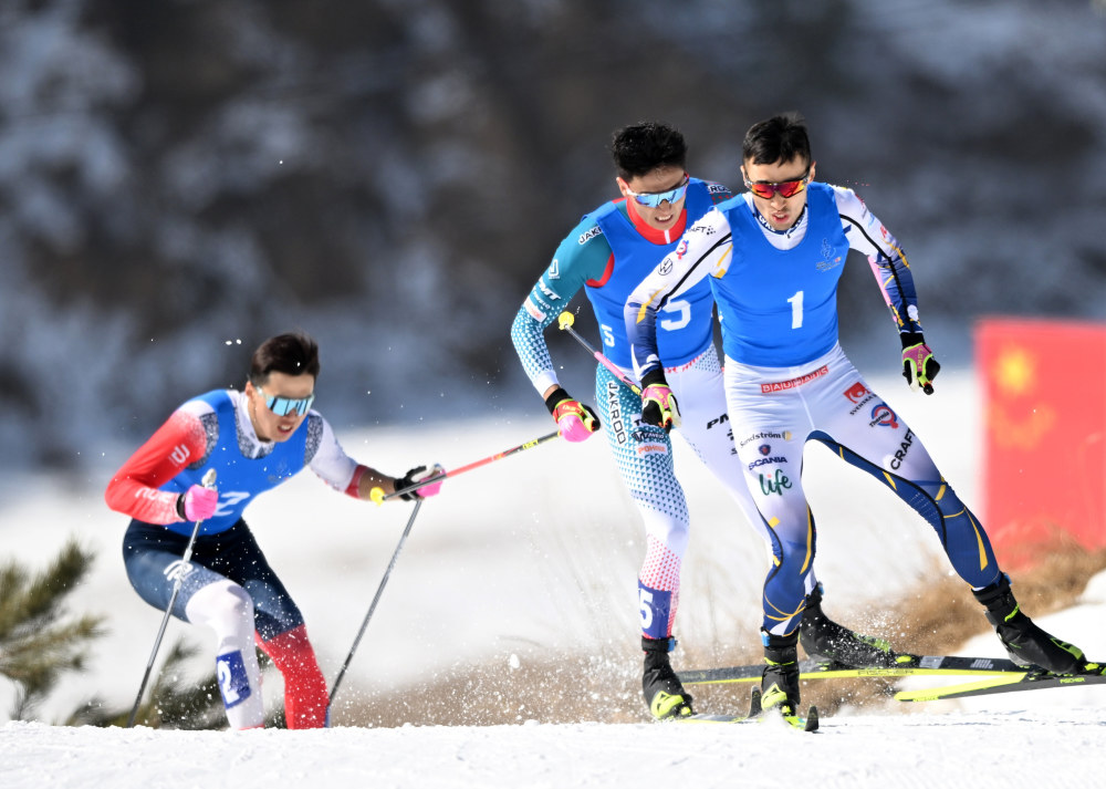 奥地利选手实现越野滑雪冠军